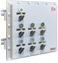 Explosion-proof control boxes IZPA